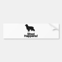 Englisch Cocker spaniel Autoaufkleber