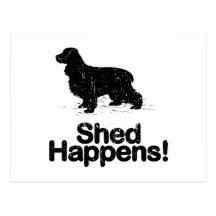 Englisch Cocker spaniel Postkarte