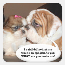 Englische Bulldoggen-Aufmerksamkeit! Sticker