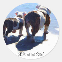 Englische Bulldoggen Stickers