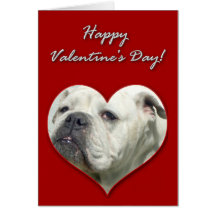 Englische Bulldoggen-Valentinstag-Karte