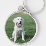 Englische golden retrieverschablone schlüsselanhänger