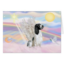 Englischer SpringerSpaniel Grußkarte