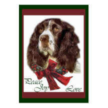 Englischer Springerspaniel-Weihnachtsgeschenke Visitenkartenvorlage