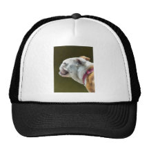 English Bulldog Profile Mesh Hat