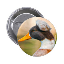 Ente mit Mohikaner Button