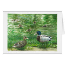 Enten in Glendoveer Teich Grußkarte
