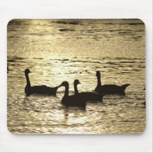 Enten Mousepad