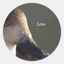 Enten-nahe hohe Fotografie Sticker