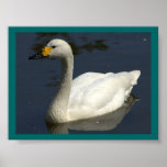 Entenplakat