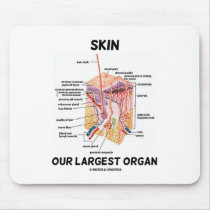 Enthäuten Sie unser größtes Organ (Hautschichten) mauspads