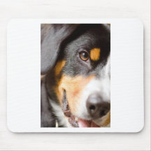 Entlebucher - I've got My Eyes on You! Mouse Pad
