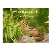 Entschlossene Babychipmunk-Postkarte