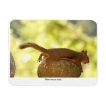 Entspannendes Eichhörnchen Flexibler Magnet