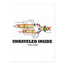 Entwirrtes Innere (DNA-Reproduktions-Spaß) postkarten