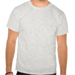 Entwurf CPEAR Hemdes 2010