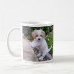 Entzückende Welpen-Kaffeetasse