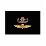 Eod-SeniorParachutist Foto Ausschnitt