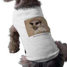 Erdmännchen Hundeshirt