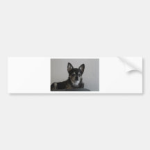 Erdnuss-Chihuahua Autoaufkleber