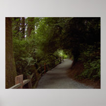 Erhabener Fußweg Plakatdruck