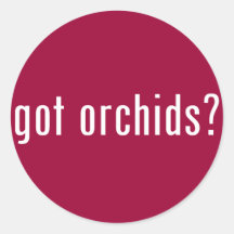 erhaltene Orchideen? Runde Sticker