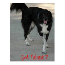 Erhaltenes Talent.? Postkarte
