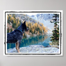 Erhaltungs-Hunde- "maximales" Bild/Plakat