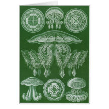 Ernst Haeckel-Kunst-Karte: Discomedusae