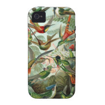 Ernst Haeckel - Trochilidae iPhone 4 Case