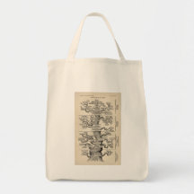 Ernst Haeckels "Baum des Lebens " Einkaufstasche