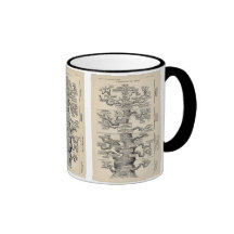 Ernst Haeckels "Baum des Lebens " Kaffeetasse