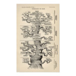 Ernst Haeckels "Baum des Lebens " poster