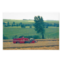 Ernten Kunst Fotos