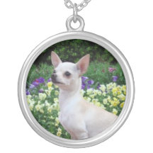 Erstaunliche weiße Chihuahua-Halskette