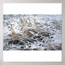 Erster Schneefall HDR der Winter Plakat