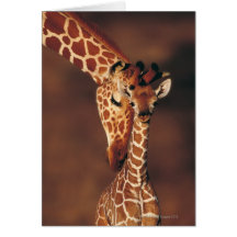 Erwachsene Giraffe mit Kalb (Giraffa camelopardali Karten