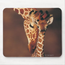 Erwachsene Giraffe mit Kalb (Giraffa camelopardali Mauspad