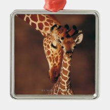 Erwachsene Giraffe mit Kalb (Giraffa camelopardali Ornament
