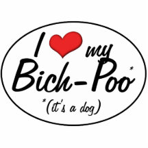 Es ist ein Hund! I Liebe mein Bich-Poo Photo Skulpturen