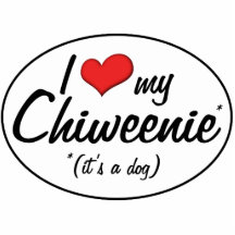 Es ist ein Hund! I Liebe mein Chiweenie Fotoskulpturen