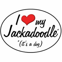 Es ist ein Hund! I Liebe mein Jackadoodle Fotofigur