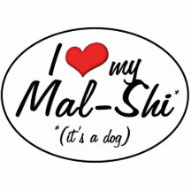 Es ist ein Hund! I Liebe mein Mal-Shi Foto Skulpturen