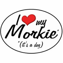 Es ist ein Hund! I Liebe mein Morkie Fotostatuen