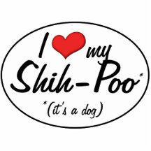 Es ist ein Hund! I Liebe mein Shih-Poo Photo Skulptur