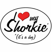 Es ist ein Hund! I Liebe mein Shorkie Photostatue