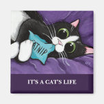 Es ist Katzen-Kunst-Magnet einer Katze des Leben-| Kühlschrankmagnete