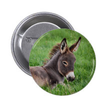 Esel im Gras Anstecknadelbuttons
