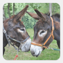 Eselfreunde Sticker