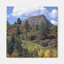Espen, Colorado Rockies Kühlschrankmagnete